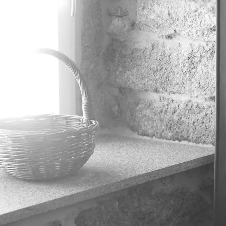 Apartman A Estrenar Construccion Tradicional En Pleno Corazon Da Ribera Sacra *